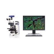 Axioscope 5，Axiolab 5德国蔡司多功能正置显微镜